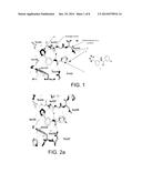 COMPOSITIONS, METHODS OF USE, AND METHODS OF TREATMENT diagram and image