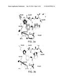 COMPOSITIONS, METHODS OF USE, AND METHODS OF TREATMENT diagram and image