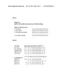 DESIGN OF NUCLEIC ACID BINDING MOLECULES WITH NON-WATSON CRICK AND     NON-CANONICAL PAIRING BASED ON ARTIFICIAL MUTATION CONSENSUS SEQUENCES TO     COUNTER ESCAPE MUTATIONS diagram and image