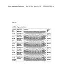 DESIGN OF NUCLEIC ACID BINDING MOLECULES WITH NON-WATSON CRICK AND     NON-CANONICAL PAIRING BASED ON ARTIFICIAL MUTATION CONSENSUS SEQUENCES TO     COUNTER ESCAPE MUTATIONS diagram and image