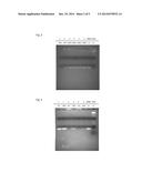 GLYCOGEN-BASED CATIONIC POLYMERS diagram and image