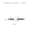 MODULATION OF RNA BY REPEAT TARGETING diagram and image