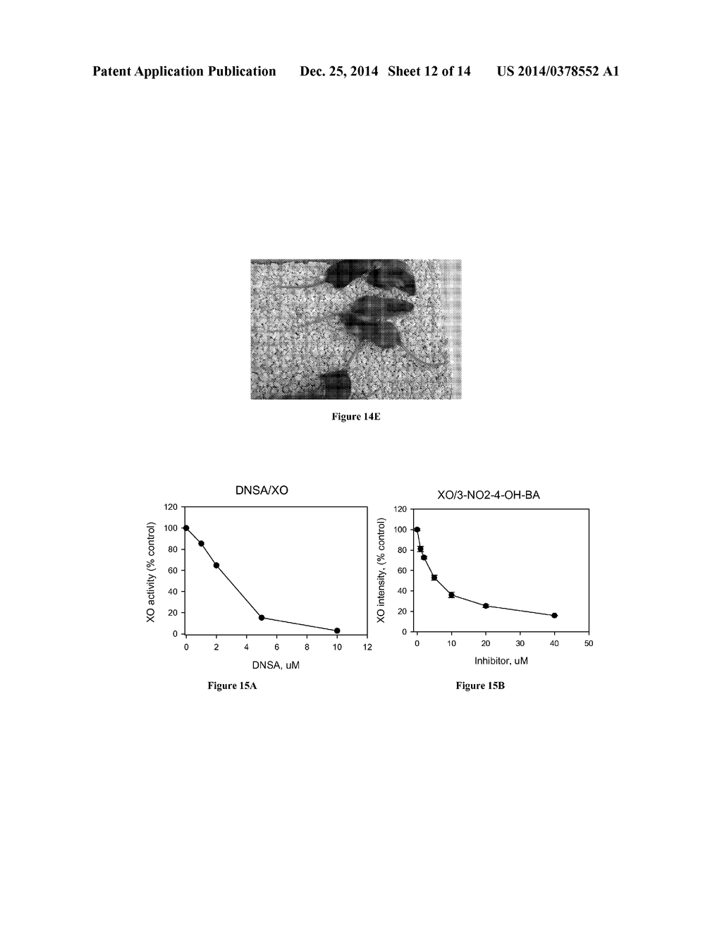 Small Molecule Xanthine Oxidase Inhibitors and Methods of Use - diagram, schematic, and image 13