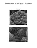 SOLID STATE VAPOR PHASE POLYMERIZATION METHOD FOR NANOPOROUS POLYPYRROLE     AND NANOPOROUS POLYPYRROLE PREPARED THEREFROM diagram and image