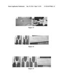 MOLDED REGENERATED SILK GEOMETRIES USING TEMPERATURE CONTROL AND     MECHANICAL PROCESSING diagram and image