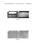 MOLDED REGENERATED SILK GEOMETRIES USING TEMPERATURE CONTROL AND     MECHANICAL PROCESSING diagram and image