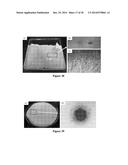 MOLDED REGENERATED SILK GEOMETRIES USING TEMPERATURE CONTROL AND     MECHANICAL PROCESSING diagram and image