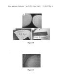 MOLDED REGENERATED SILK GEOMETRIES USING TEMPERATURE CONTROL AND     MECHANICAL PROCESSING diagram and image