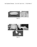 MOLDED REGENERATED SILK GEOMETRIES USING TEMPERATURE CONTROL AND     MECHANICAL PROCESSING diagram and image