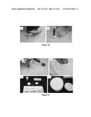 MOLDED REGENERATED SILK GEOMETRIES USING TEMPERATURE CONTROL AND     MECHANICAL PROCESSING diagram and image