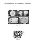 MOLDED REGENERATED SILK GEOMETRIES USING TEMPERATURE CONTROL AND     MECHANICAL PROCESSING diagram and image