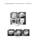 MOLDED REGENERATED SILK GEOMETRIES USING TEMPERATURE CONTROL AND     MECHANICAL PROCESSING diagram and image