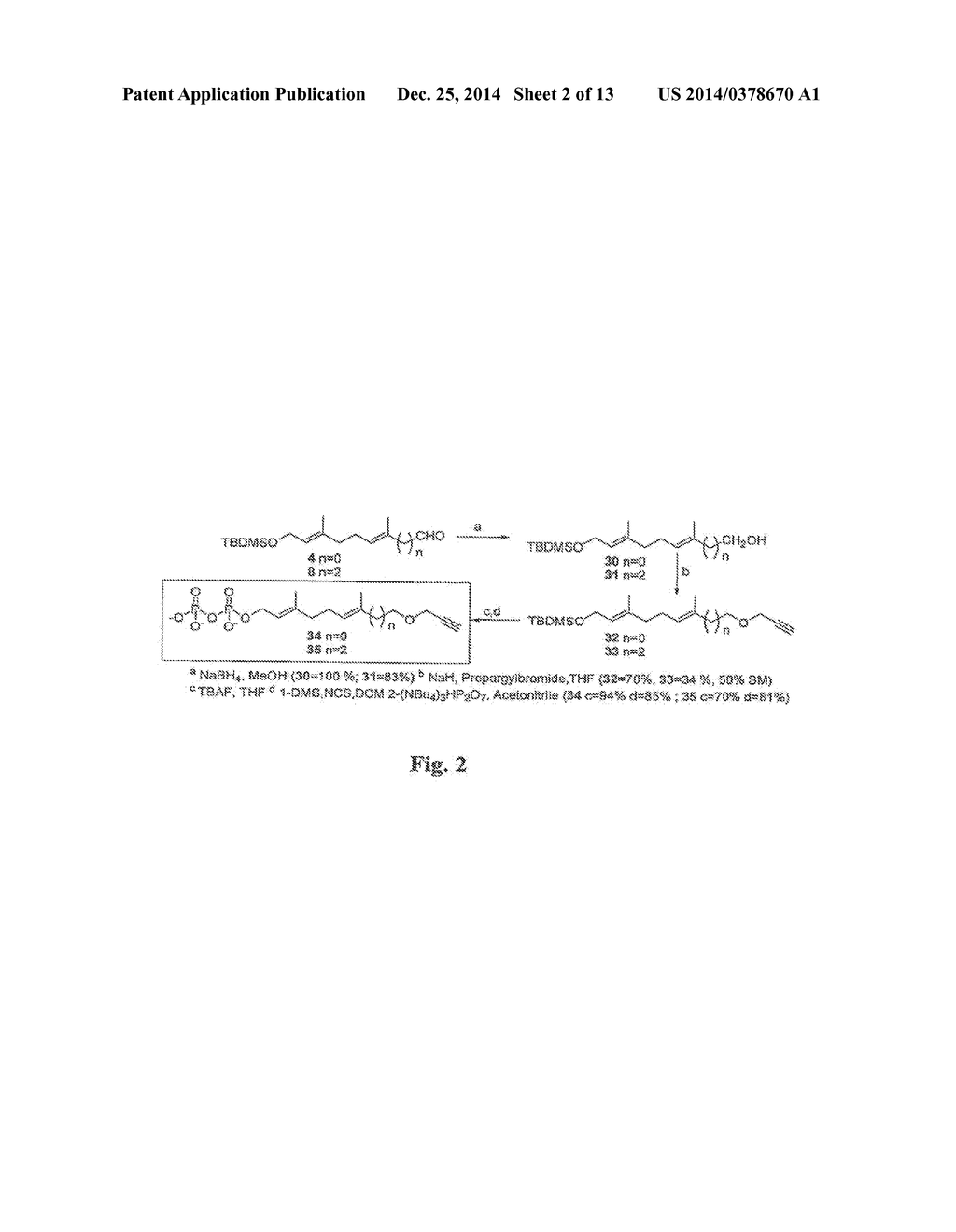 Immobilized Proteins and Methods and Uses Thereof - diagram, schematic, and image 03