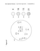 UTERINE LAVAGE FOR EMBRYO RETRIEVAL diagram and image