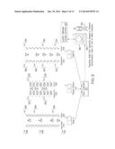 RAPID BREEDING OF ANIMALS diagram and image