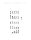 METHOD OF DIAGNOSIS AND TREATMENT OF TUMORS USING HIGH INTENSITY FOCUSED     ULTRASOUND diagram and image