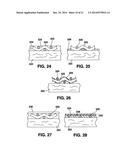 Graft Apparatus diagram and image