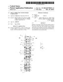 SPINAL CORRECTION AND SECONDARY STABILIZATION diagram and image