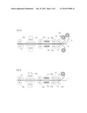 SKIN WEFT AND METHOD FOR MANUFACTURING THE SAME diagram and image