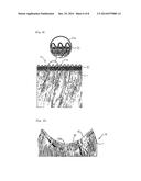 SKIN WEFT AND METHOD FOR MANUFACTURING THE SAME diagram and image