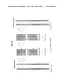 APPARATUS FOR TRANSMITTING BROADCAST SIGNAL, APPARATUS FOR RECEIVING     BROADCAST SIGNAL, AND METHOD FOR TRANSMITTING/RECEIVING BROADCAST SIGNAL     THROUGH APPARATUS FOR TRANSMITTING/RECEIVING BROADCASTING SIGNAL diagram and image