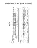 APPARATUS FOR TRANSMITTING BROADCAST SIGNAL, APPARATUS FOR RECEIVING     BROADCAST SIGNAL, AND METHOD FOR TRANSMITTING/RECEIVING BROADCAST SIGNAL     THROUGH APPARATUS FOR TRANSMITTING/RECEIVING BROADCASTING SIGNAL diagram and image