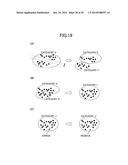 SERVER SYSTEM FOR REAL-TIME MOVING IMAGE COLLECTION, RECOGNITION,     CLASSIFICATION, PROCESSING, AND DELIVERY diagram and image