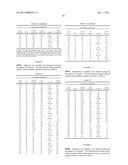 THERMALLY INSULATED COMPONENTS FOR EXHAUST SYSTEMS diagram and image