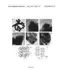 Non-Rare Earth Magnetic Nanoparticles diagram and image