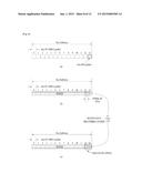 METHOD AND APPARATUS FOR OPERATING PLURAL TIME ALIGNMENT TIMERS IN     WIRELESS COMMUNICATION SYSTEM USING COORDINATED MULTIPOINT TECHNOLOGY diagram and image