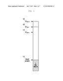 TRANSMIT POWER CONTROL METHOD AND APPARATUS diagram and image