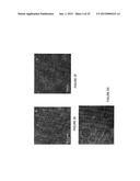 STABLE LIPOSOMES FOR DRUG DELIVERY diagram and image