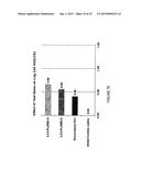 STABLE LIPOSOMES FOR DRUG DELIVERY diagram and image