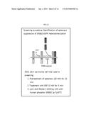 APTAMER WHICH SELECTIVELY BINDS TO ERBB2 RECEPTOR AND USES THEREOF diagram and image