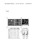 TREATING CARDIOVASCULAR OR RENAL DISEASES diagram and image