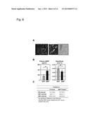 TREATING CARDIOVASCULAR OR RENAL DISEASES diagram and image