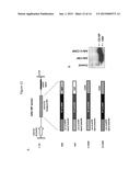 TREATING CARDIOVASCULAR OR RENAL DISEASES diagram and image