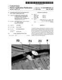 METHOD FOR TESTING THE RESISTANCE OF A TYRE TO PRESSURE LOSS diagram and image