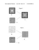 PHOTOVOLTAIC MODULE diagram and image