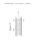 DEVICES AND METHODS FOR DETERMINING THE LENGTH OF BIOPOLYMERS AND     DISTANCES BETWEEN PROBES BOUND THERETO diagram and image