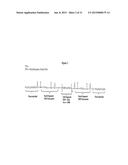 ANTITHROMBOGENIC HOLLOW FIBER MEMBRANES AND FILTERS diagram and image