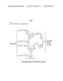 ANTITHROMBOGENIC HOLLOW FIBER MEMBRANES AND FILTERS diagram and image