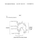 ANTITHROMBOGENIC HOLLOW FIBER MEMBRANES AND FILTERS diagram and image