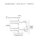 ANTITHROMBOGENIC HOLLOW FIBER MEMBRANES AND FILTERS diagram and image