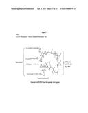 ANTITHROMBOGENIC HOLLOW FIBER MEMBRANES AND FILTERS diagram and image