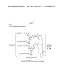 ANTITHROMBOGENIC HOLLOW FIBER MEMBRANES AND FILTERS diagram and image