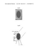 ANTITHROMBOGENIC HOLLOW FIBER MEMBRANES AND FILTERS diagram and image