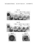 ANTITHROMBOGENIC HOLLOW FIBER MEMBRANES AND FILTERS diagram and image