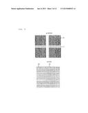 SCANNING ELECTRON MICROSCOPE diagram and image