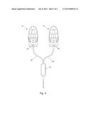 SHOE DEODARIZER AND SANITIZER diagram and image